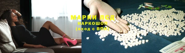 шишки Абаза